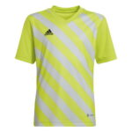 アディダス（adidas） サッカーウェア ジュニア Tシャツ Entrada 22 グラフィック ジャージー QU576-HF0133 （キッズ）